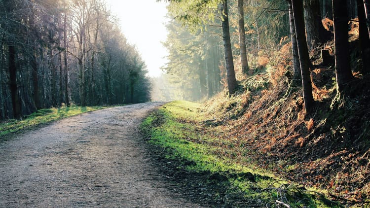 Devon is a county in the south west of England. We call this south western part of the UK the "West Country". There is a local accent, alongside modern RP English.